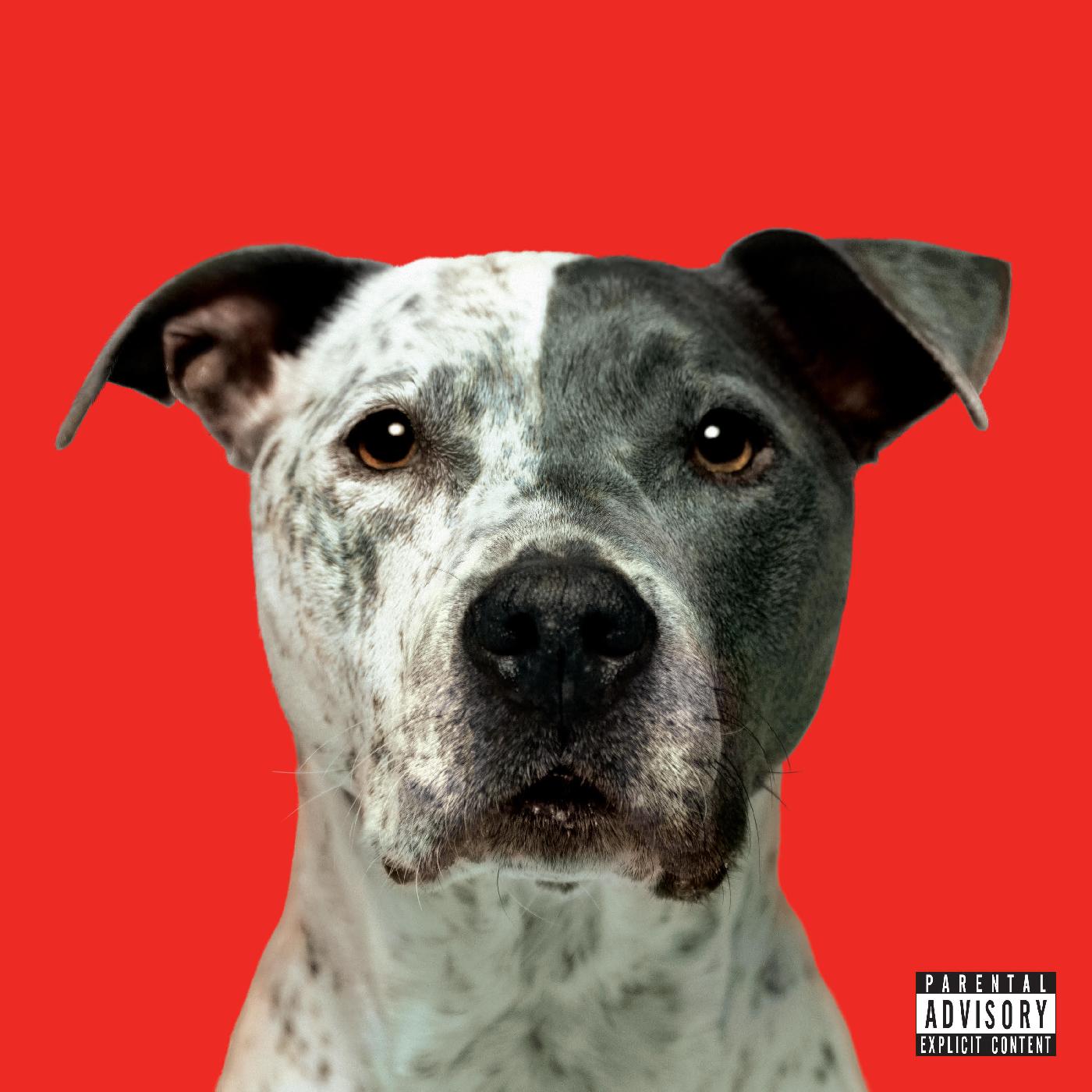 Hanni El Khatib - VUELO [Vinilo]