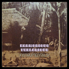 Instrumentals! (A Collection Of Outernational Music Studies) [Vinyl]