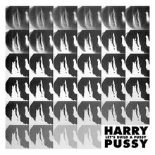 Let's Build a Pussy [Vinyl]