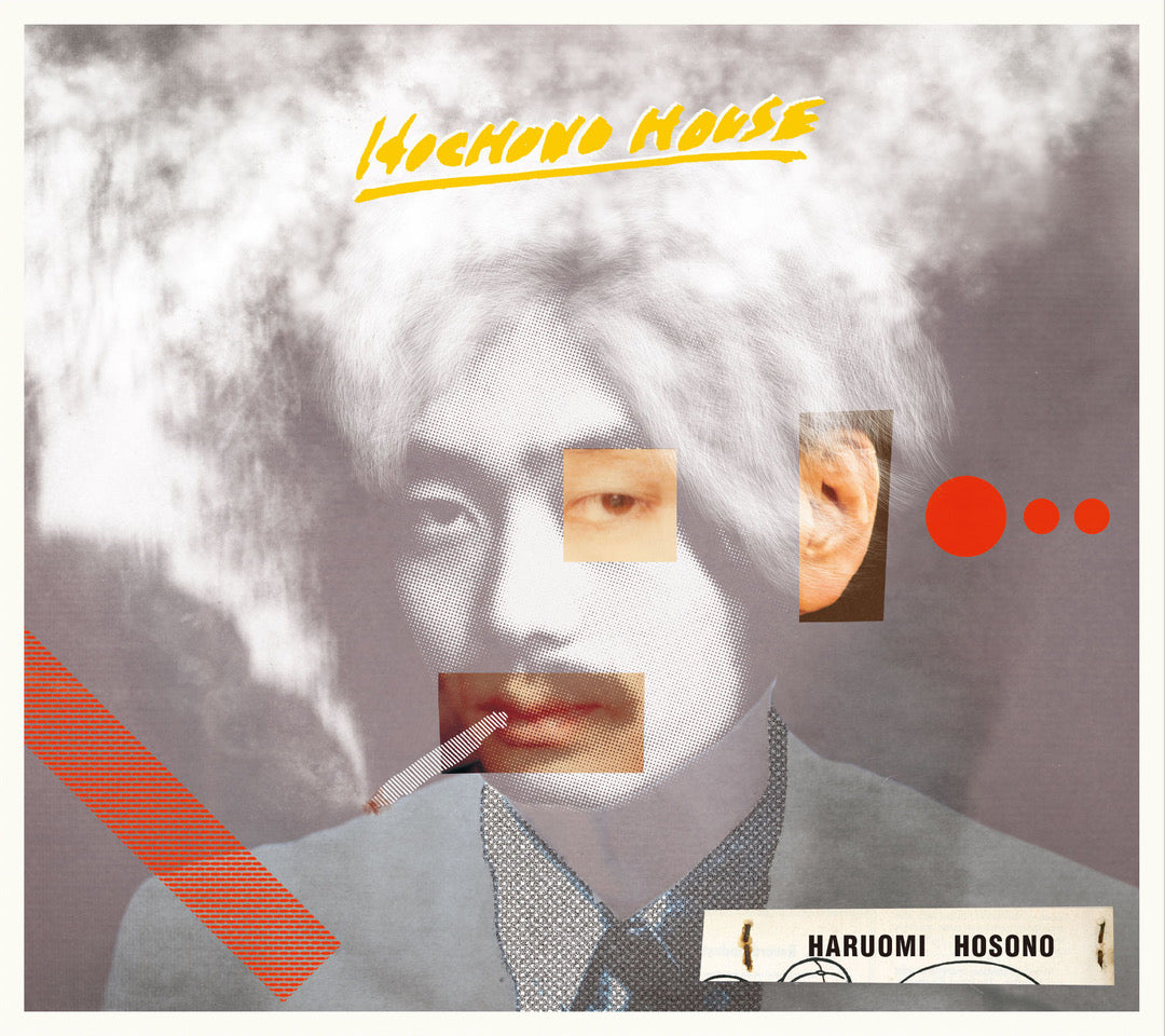 Hochono House [Vinyl]