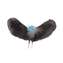 Haywardxdälek [CD] [CD]