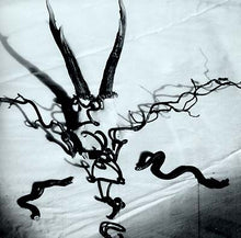 HEAD OF WANTASTIQUET - Mortague [Vinyl]