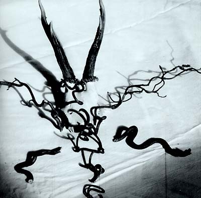 HEAD OF WANTASTIQUET - Mortague [Vinyl]