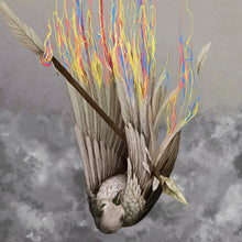 Paper Wings [Vinyl] - Paladin Vinyl