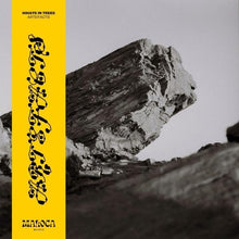Artefacts [Vinyl]