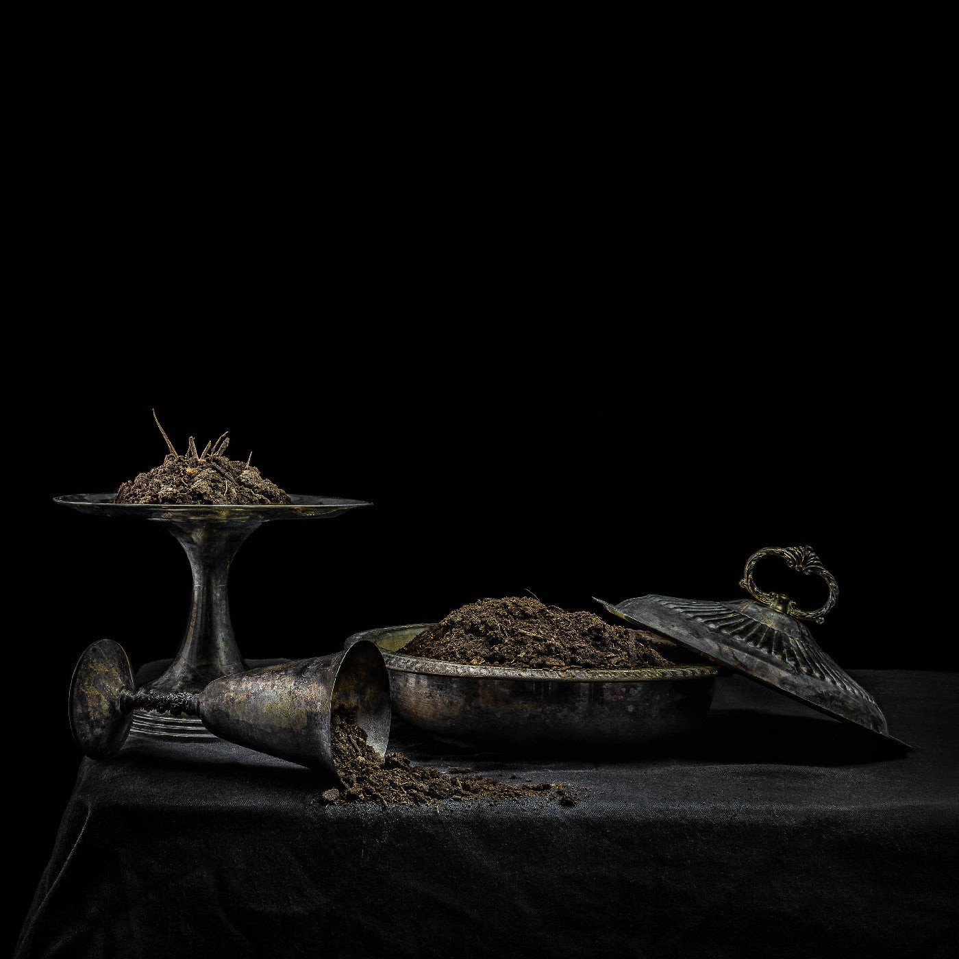 All We Have Is Never (Purple Vinyl) [Vinyl]