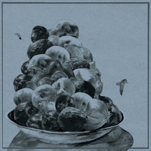 Hop Along - Painted Shut [Vinyl] - Paladin Vinyl