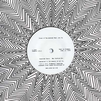 HOUSE OF WALLENBERG (FEAT. ARI UP) - Sunshine Taboo [Vinyl]