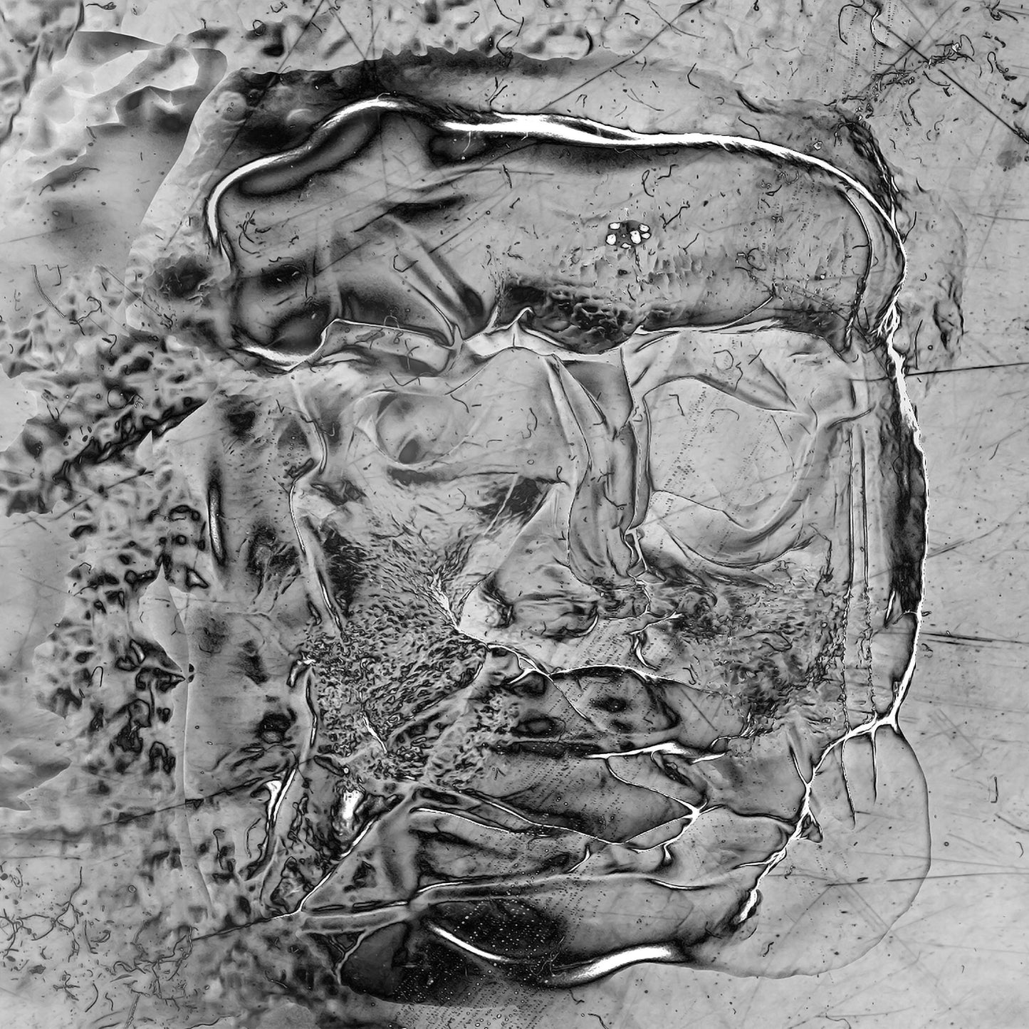 The Anteroom [Vinyl] - Paladin Vinyl