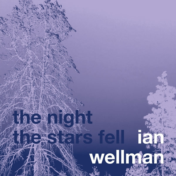 IAN WELLMAN - The Night The Stars Fell [CD]