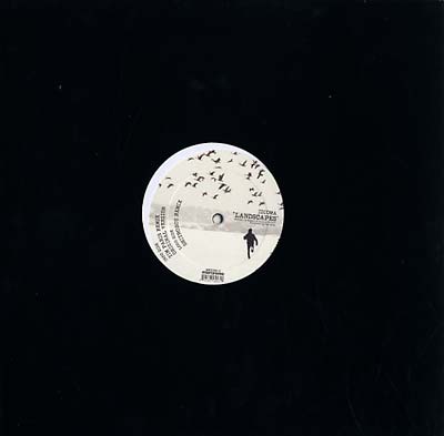 IDIOMA - Landscapes [Vinyl]