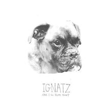 IGNATZ - Can I Go Home Now? [CD]