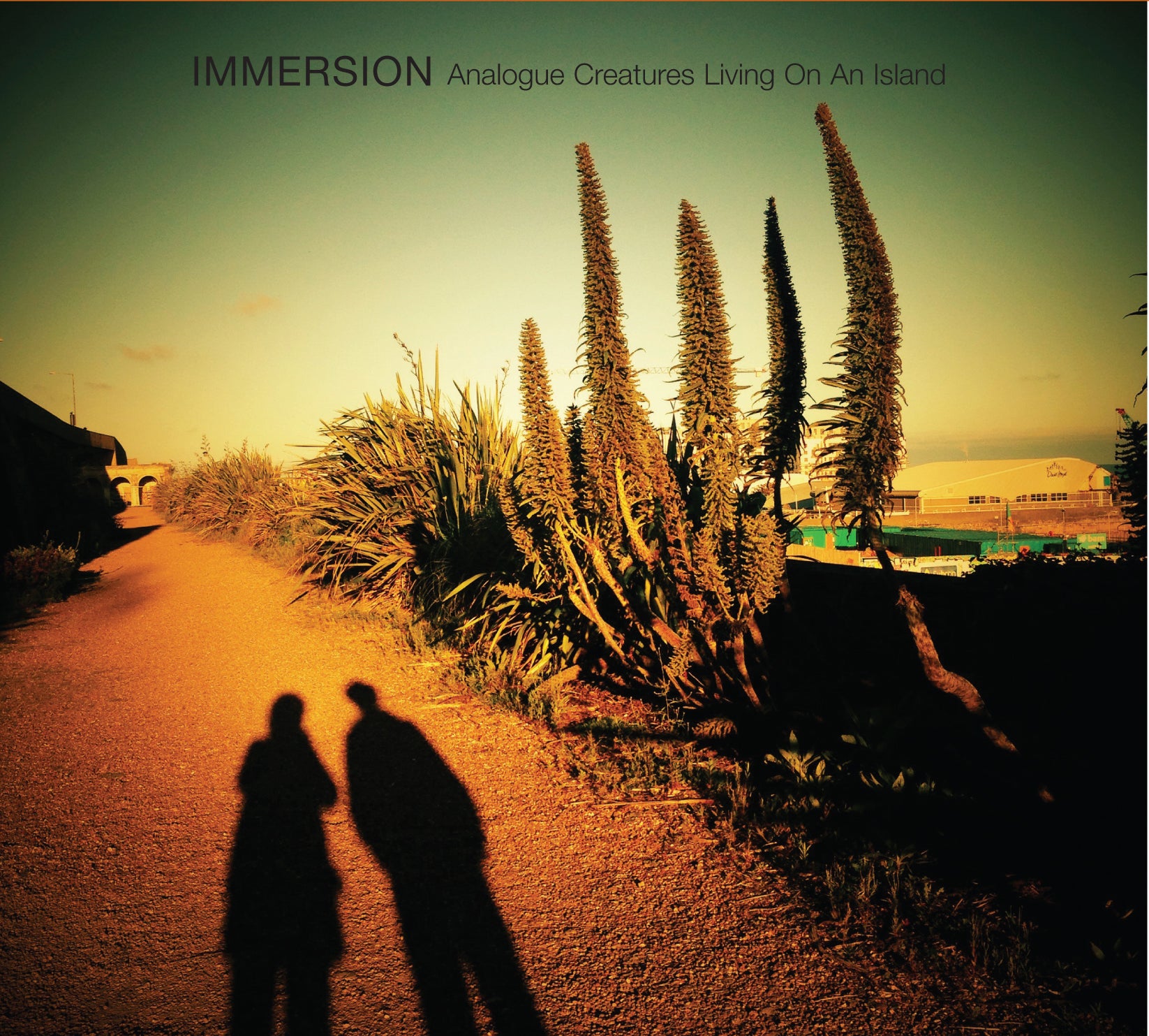 Living On An Island - 10" [Vinyl]