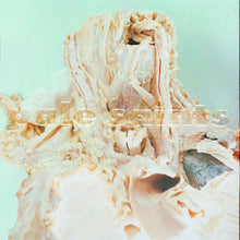 Pale Saints - In Ribbons [30th Anniversary] [Vinyl]
