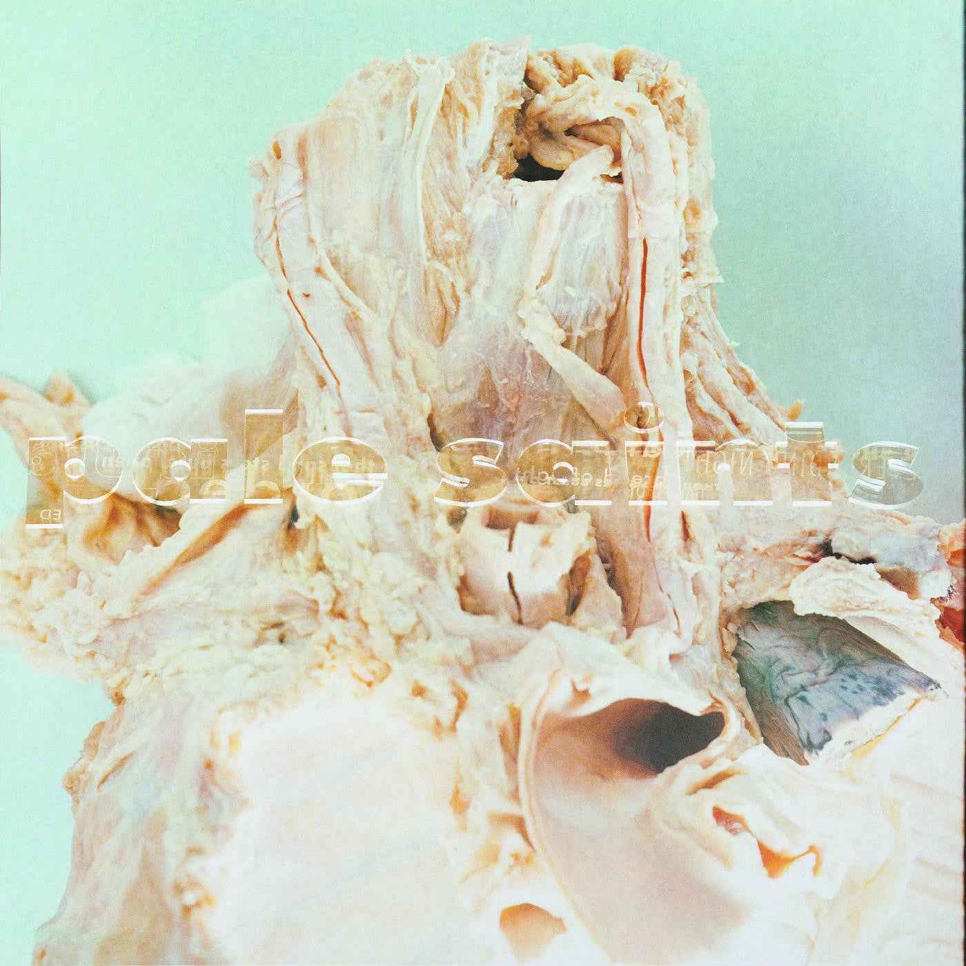 Pale Saints - In Ribbons [30th Anniversary] [Vinyl]
