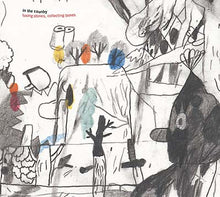 Losing Stones, Collecting Bones [CD]