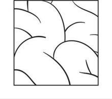 Intelectual - Intelectual [Vinilo]