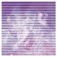 INVSN - Live at Clouds Hill [Vinyl]