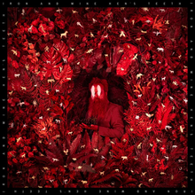 Hen's Teeth [CD]