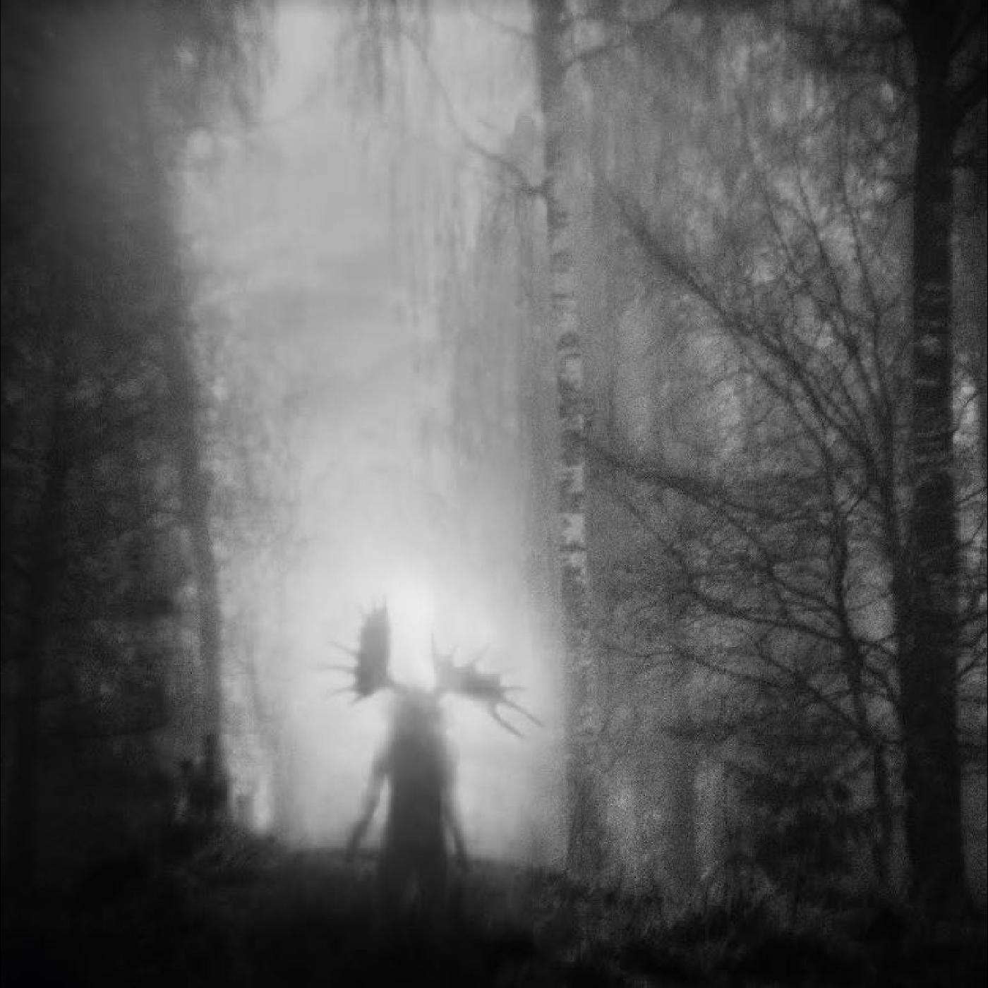 Iterum Nata - From the Infinite Light [Vinyl]