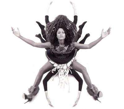 Barefoot Wanderer [CD]