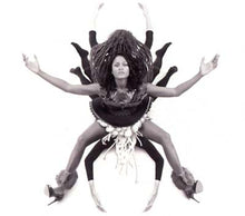 Barefoot Wanderer [CD]