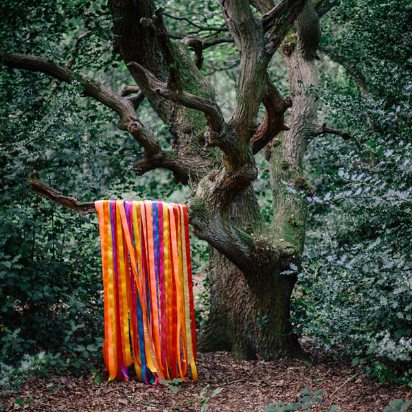 JAMES HOLDEN & THE ANIMAL SPIRITS - The Animal Spirits [CD]