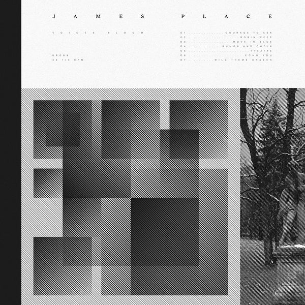 JAMES PLACE - Voices Bloom [Vinyl]