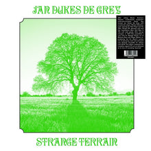 Strange Terrain [Vinyl]