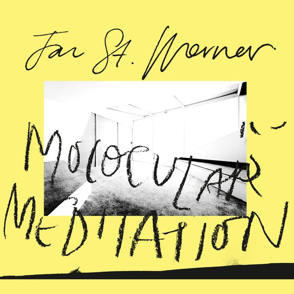 Jan St. Werner - Molocular Meditation [Vinyl]