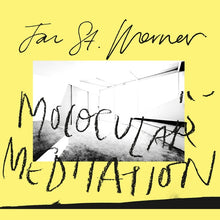 Jan St. Werner - Molocular Meditation [Vinyl]