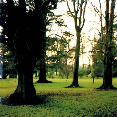 JANDEK - Brooklyn Wednesday [DVD]