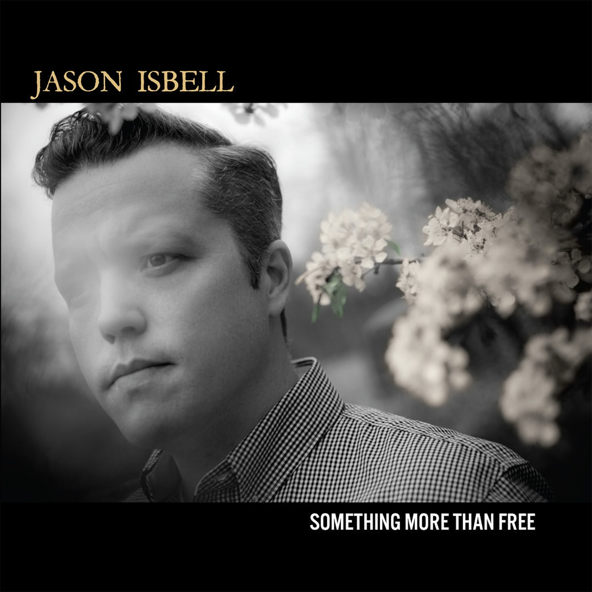 Something More Than Free (10 Year Anniversary Edition) (Indie Exclusive Denim Vinyl) [2LP] [Vinyl]
