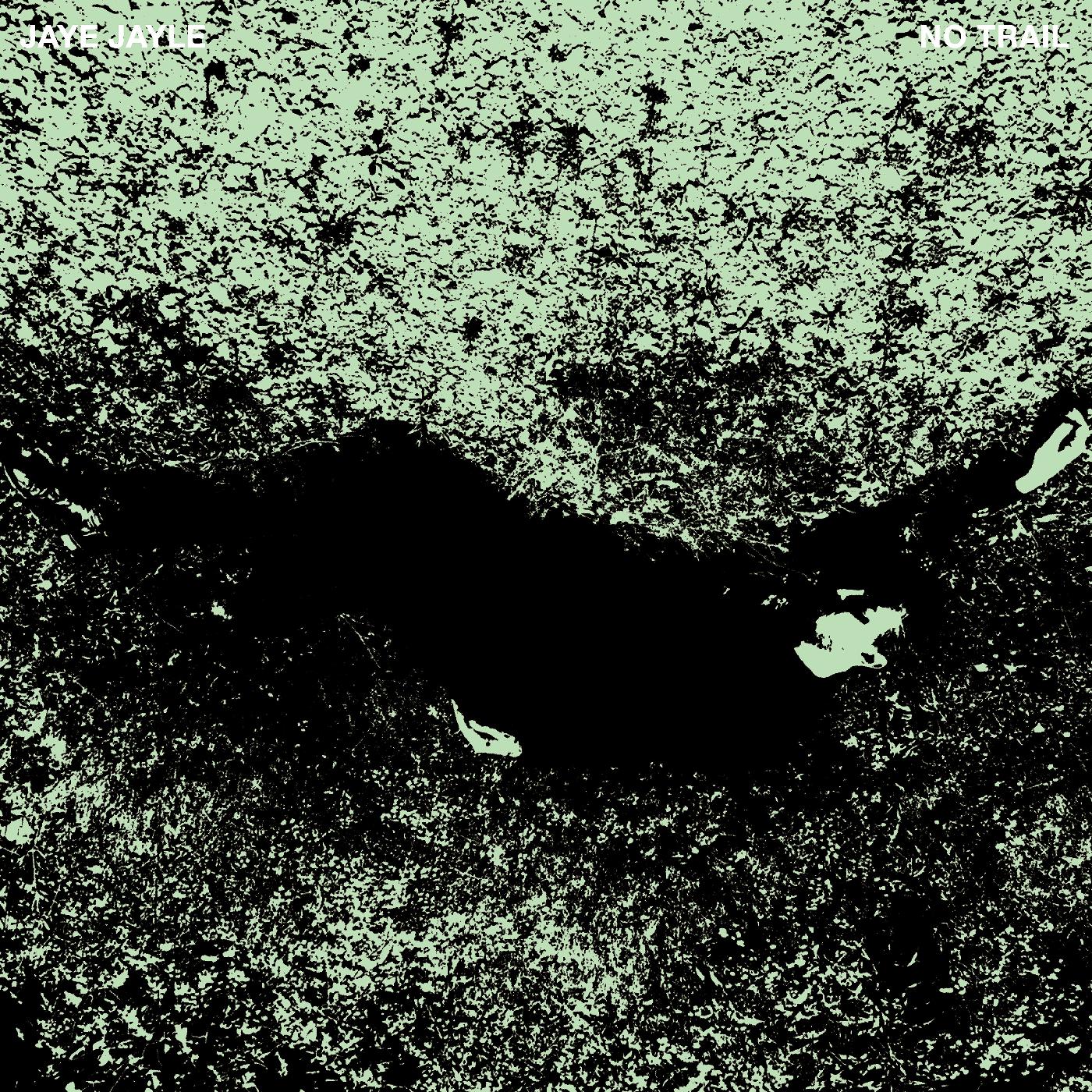 Jaye Jayle - No Trail and Other Unholy Paths [Vinyl] - Paladin Vinyl
