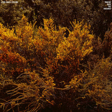 Jefre Cantu-Ledesma - Tracing Back The Radiance [Vinyl] - Paladin Vinyl