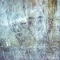 Drill a Hole in That Substrate and Tell Me What You See [Vinyl] - Paladin Vinyl