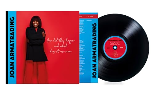 How Did This Happen and What Does It Now Mean [LP] [Vinyl]