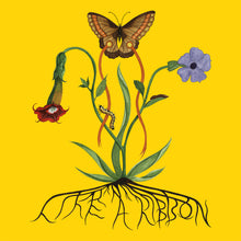 Like A Ribbon [CD]
