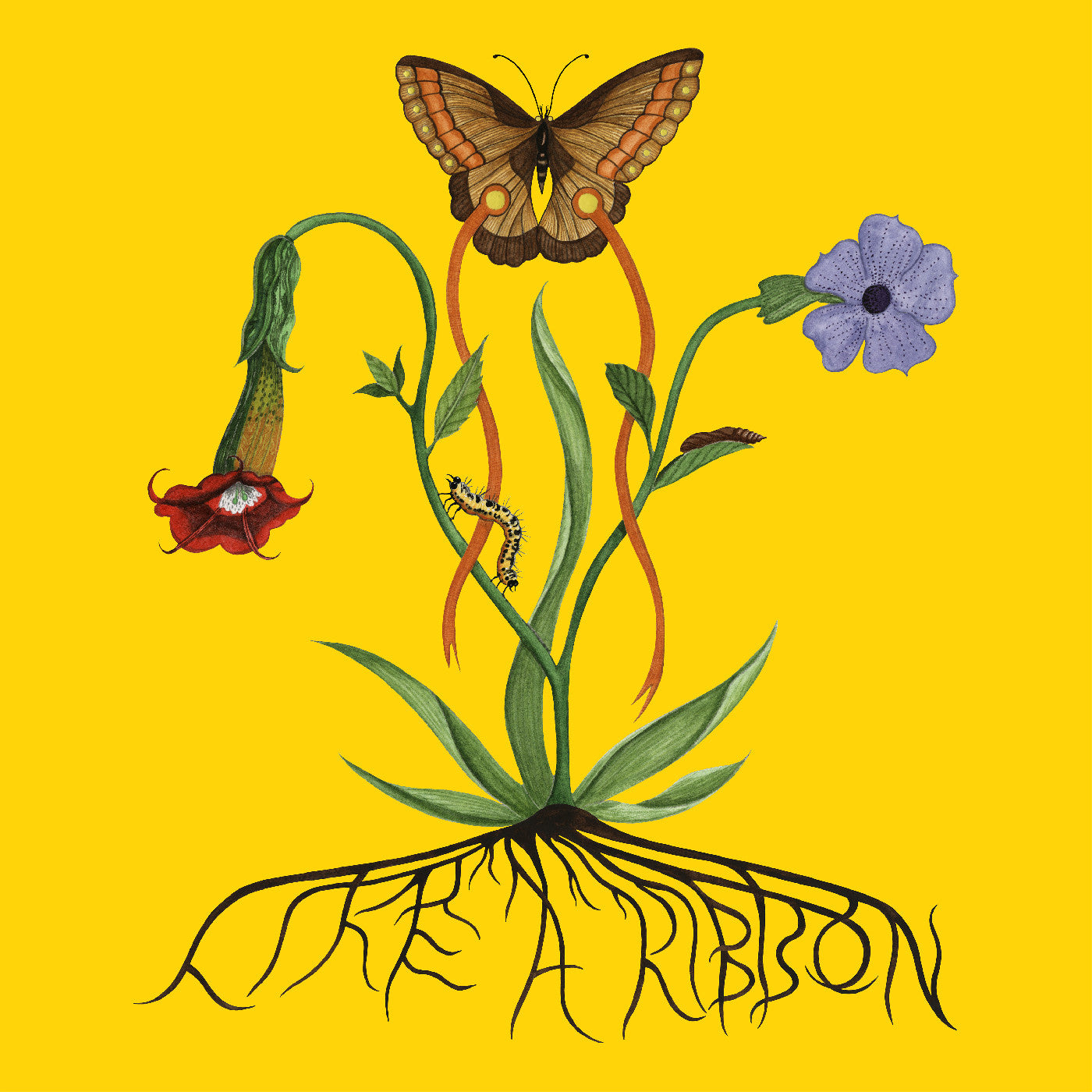 Like A Ribbon [Vinyl]