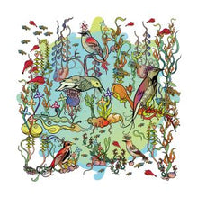 The Dreamers - The Gentle Side [Vinyl]