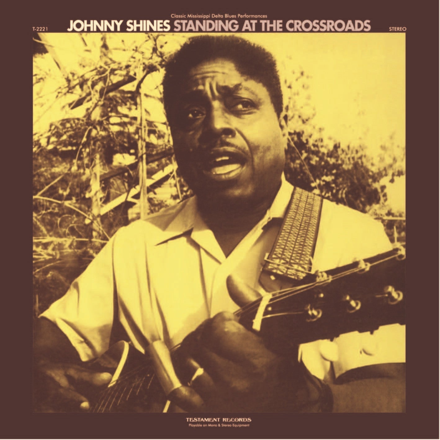 Standing At The Crossroads [Vinyl]