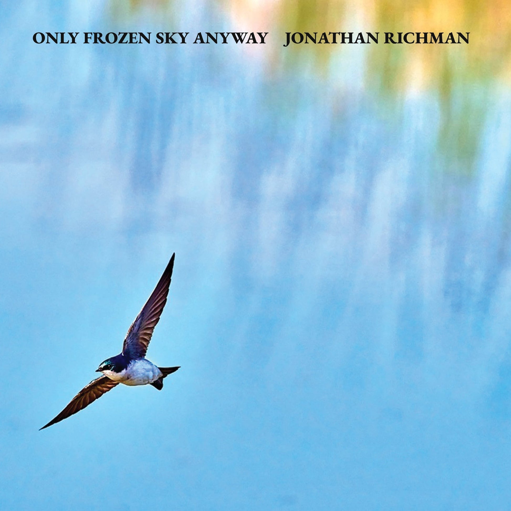 Only Frozen Sky Anyway LP [Vinyl]
