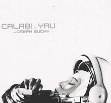 calabi.yau [CD]