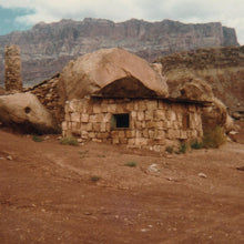 Josephine Foster - Esfera doméstica [Vinilo]