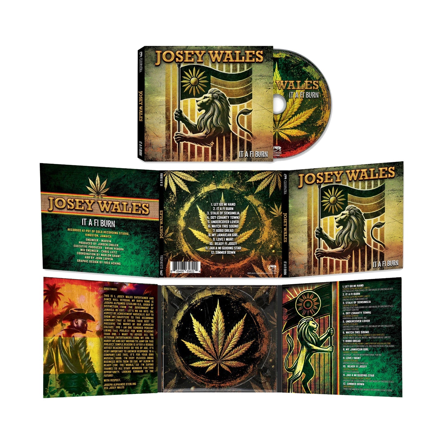 It A Fi Burn [CD] [CD]