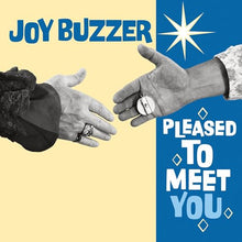 Pleased To Meet You [Vinyl]