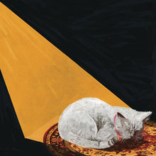 Permanent Pleasure [LP] [Vinyl]