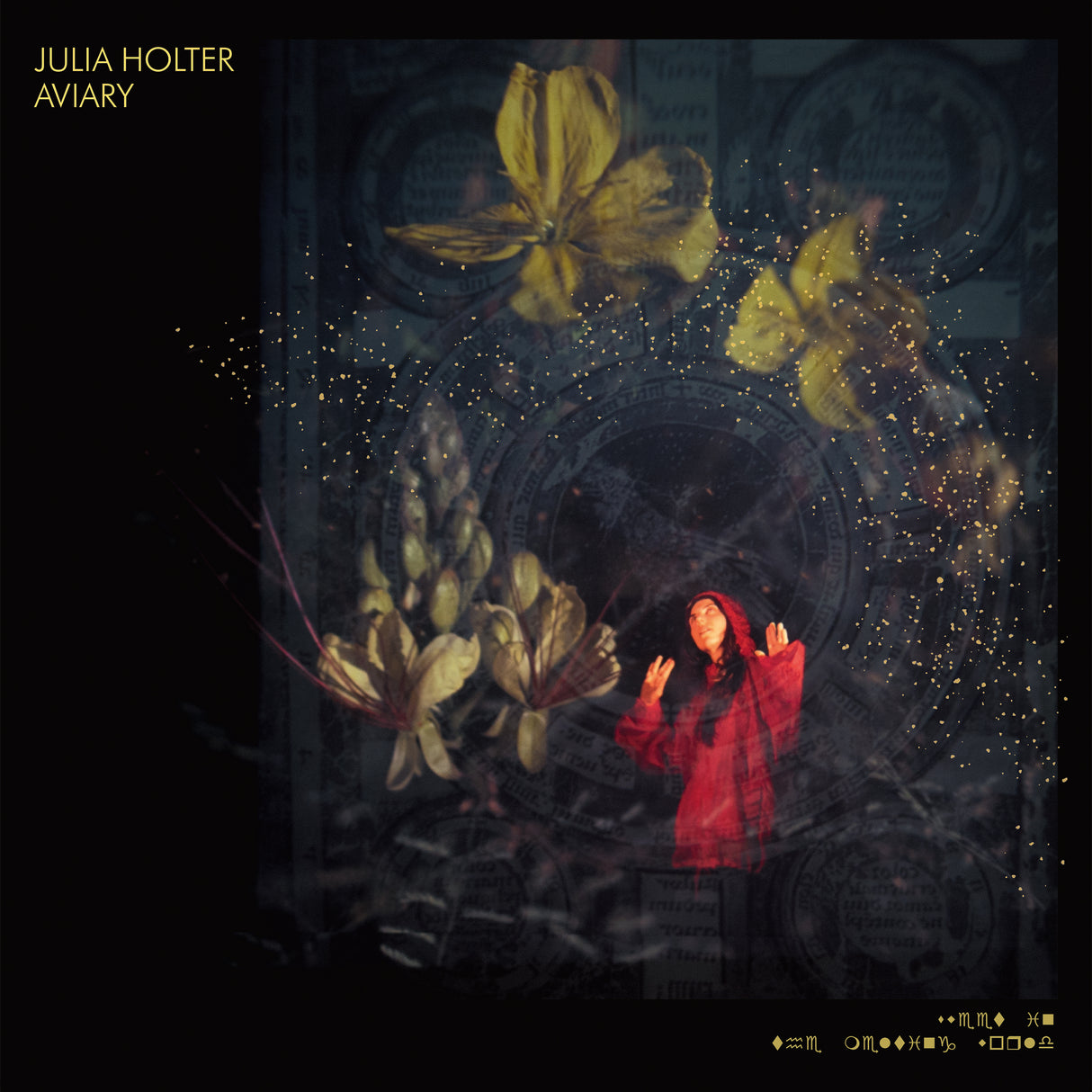 Julia Holter - Aviary [Vinyl]