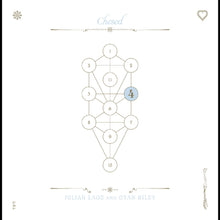 The Book Beri'ah Vol 4-Chesed [CD]