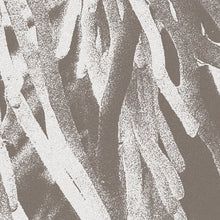 JW PATON - Structures [CD]